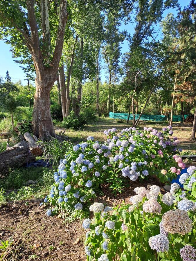 Casa Eden Exclusiva Y Comoda Casona De Descanso A Tan Solo 1 Hora De Bs As Villa Tigre Bagian luar foto